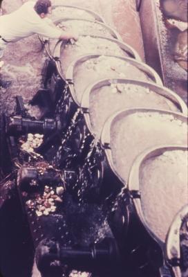 Trabalho no garimpo, dragas de diamante