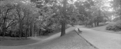 Fundação Oscar Americano