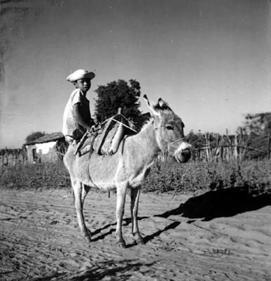 Romeiro montado em jegue