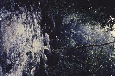 Expedição Pico da Neblina