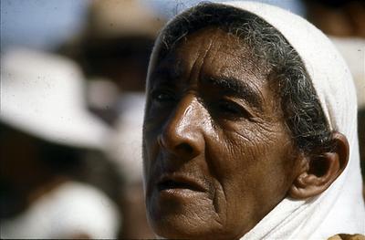 Série Rio São Francisco