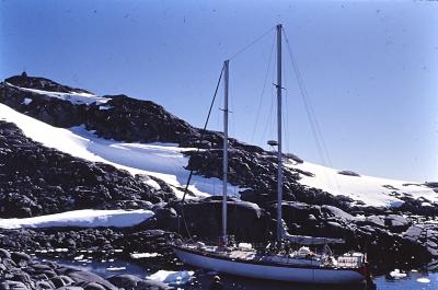 Aventuras de Igor na Antártida