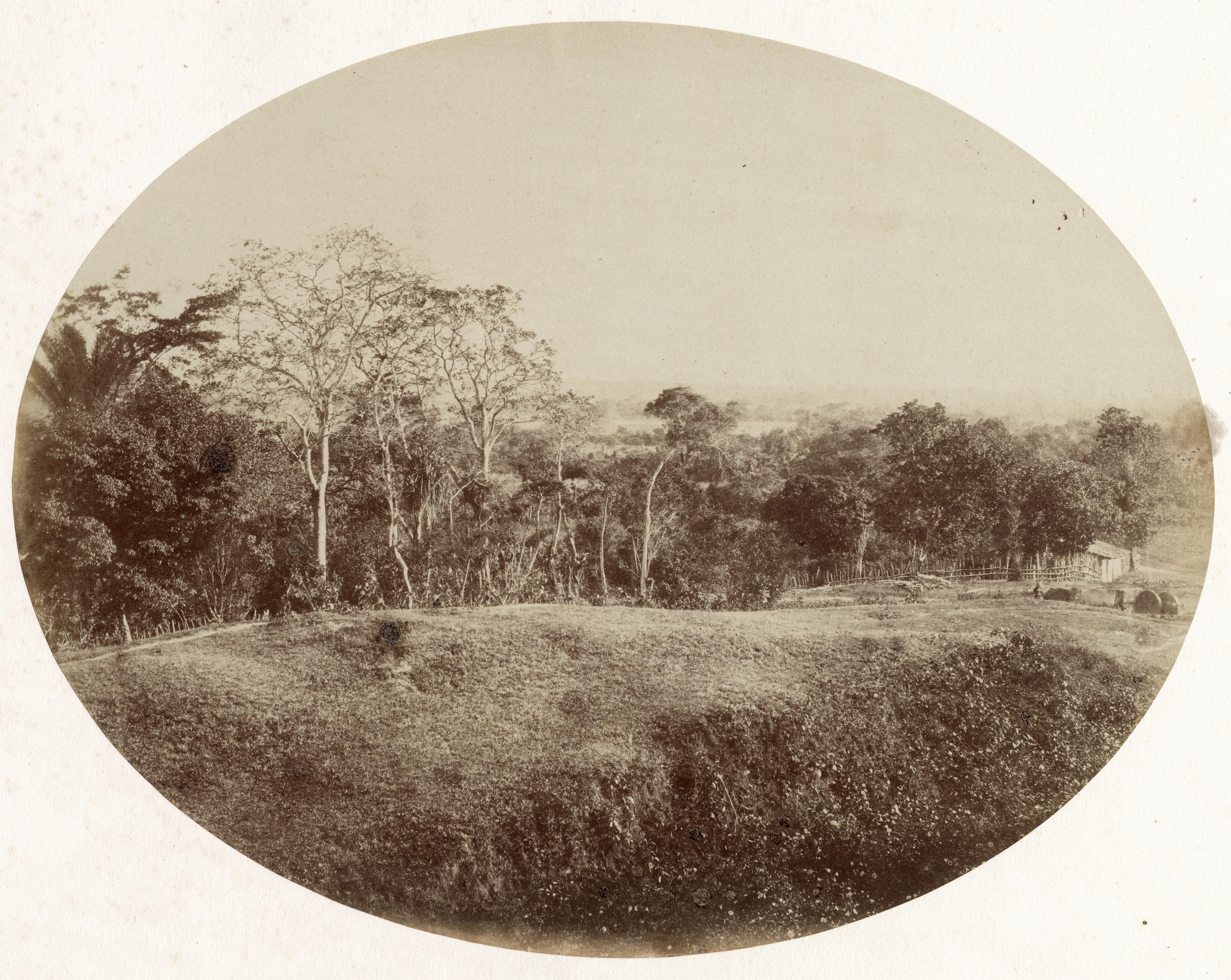 Paisagem no Engenho Bujari