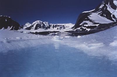 Aventuras de Igor na Antártida