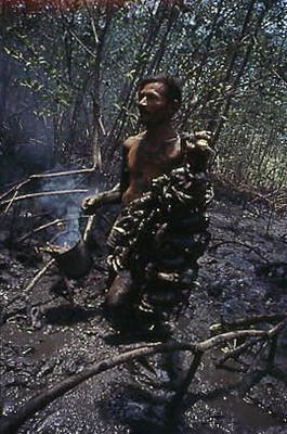 Série Caranguejeiras - Catador de caranguejo