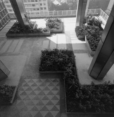 Jardim suspenso do Edifício da Petrobras, projetado por Burle Marx