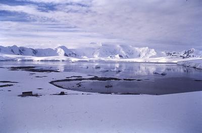 Aventuras de Igor na Antártida