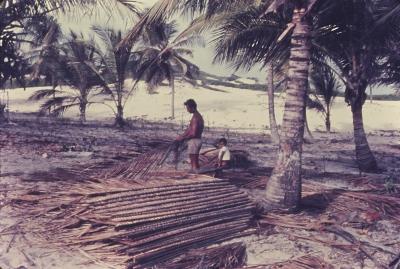 Preparação de folhas de palmeira para cobertura de casa