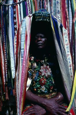 Série Bumba-meu-boi - Festa de São João