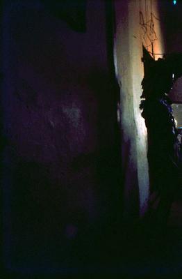 Série Mangueira - Mangueirense em traje verde e rosa