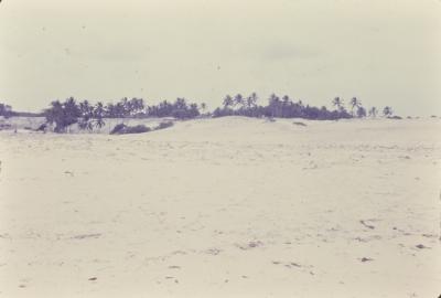 Praia próxima ao Quilombo de Sibaúma