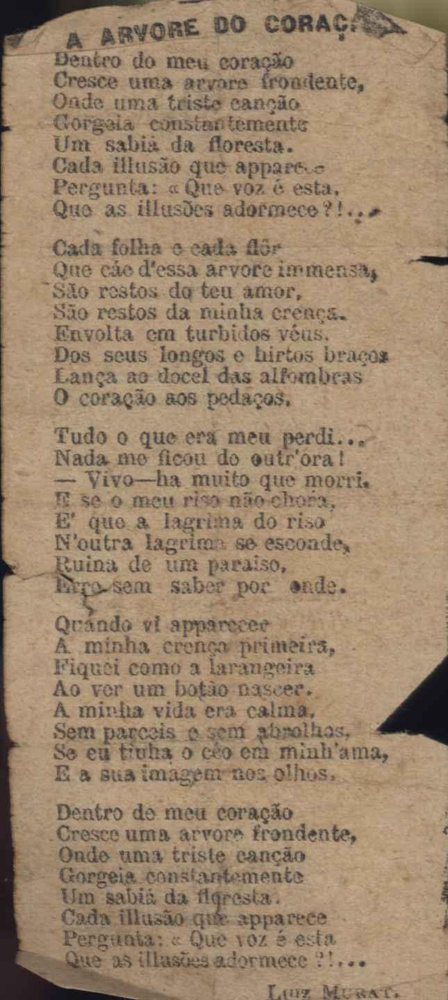 A árvore do coração