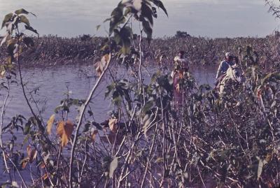 Pantanal. À direita está Jorge Bodanzky