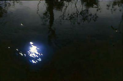 Série Xingu - Aspectos da natureza