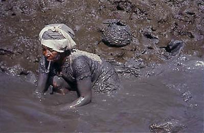 Série Caranguejeiras - Catadora de caranguejo