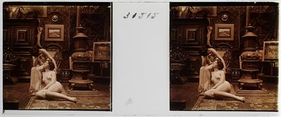 Estereoscopia erótica