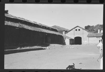 Em busca de fazendas para locacações do filme Os Herdeiros, de Cacá Diegues