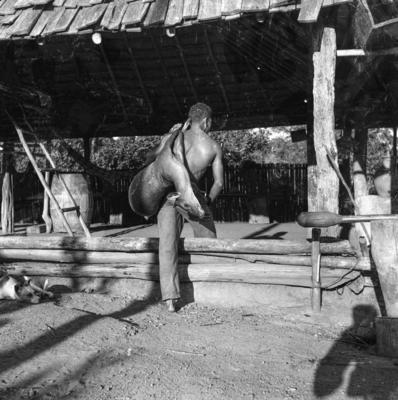 Expedição do SPI que estabeleceu os primeiros contatos com o povo Asuriní do Tocantins