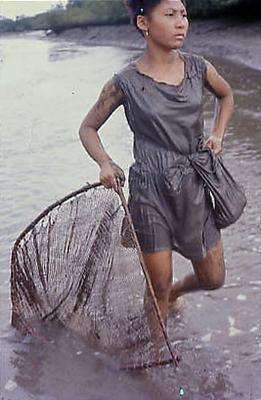 Série Caranguejeiras - Catadora de caranguejo