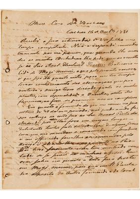 [Carta de Anders Fredrik Regnell a João Barbosa Rodrigues, escrita em Caldas em 16 de outubro de 1881]