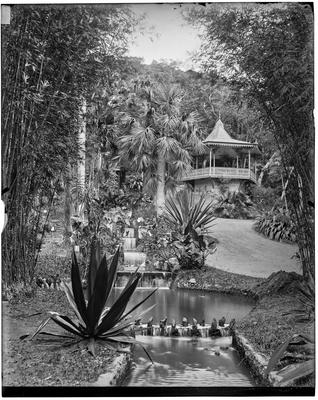 Jardim Botânico
