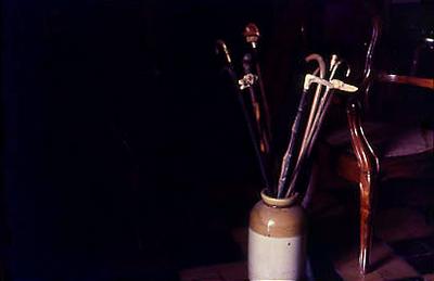 Série Gilberto Freyre - Casa de Gilberto Freyre