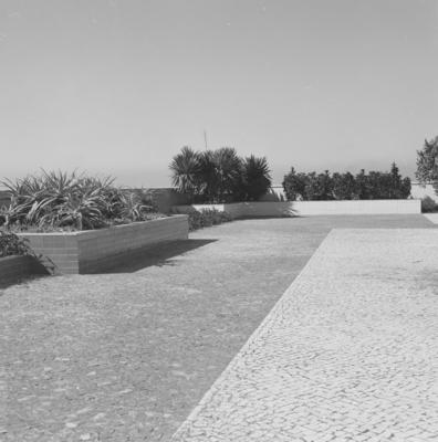 Cidade Universitária, projeto de Jorge Machado Moreira e Burle Marx