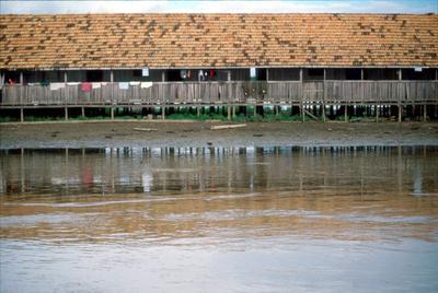 Série Amazonas - Casa