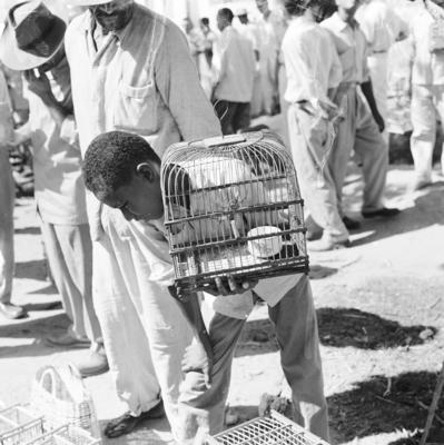Feira dos Passarinhos