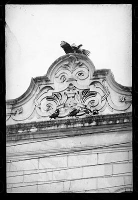 Filmagens de "Iracema: uma transa amazônica", com direção de Jorge Bodanzky e Orlando Senna