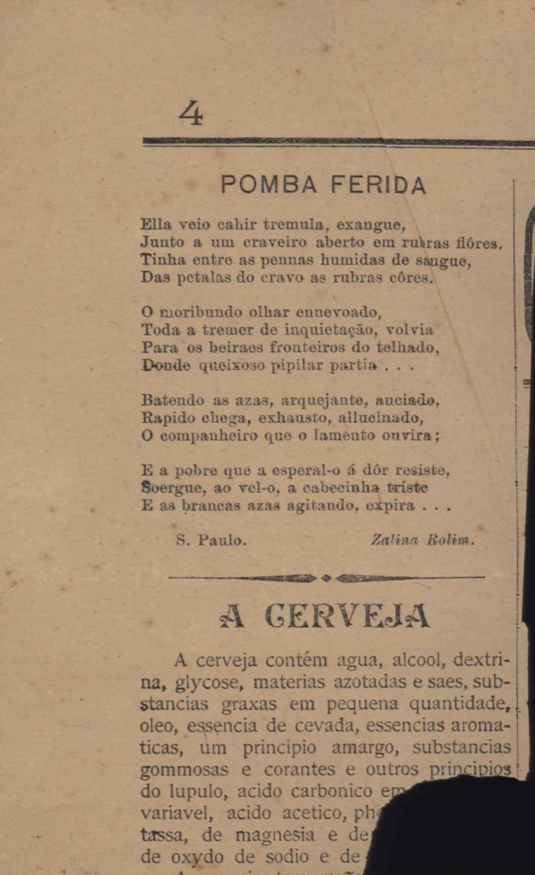 Pomba ferida