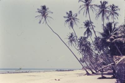 Dunas. Praia em frente ao Quilombo de Sibaúma