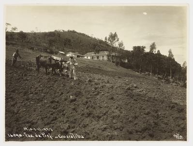 Fazenda da Prefeitura em Guaratiba