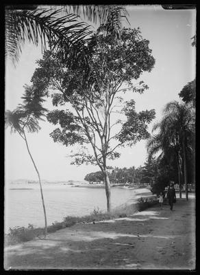 Subida do morro da Imbuca, após a praia dos Frades
