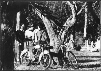 Paranoia: “Olho para os adolescentes"