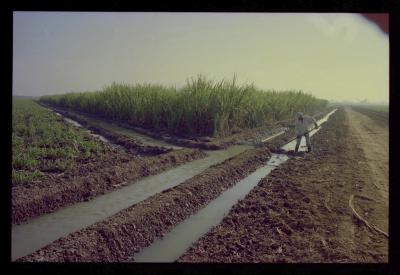 Produção de filme institucional sobre usinas de açúcar