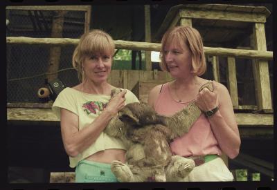 Heidi e as preguiças