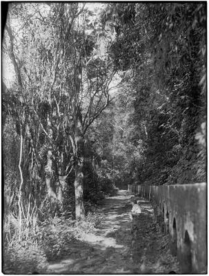 Aqueduto da Lagoinha