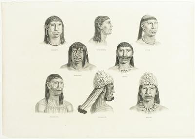 (Aruaquís, catauuixis, iupás, miranhas, araras, munducurús, mauées)