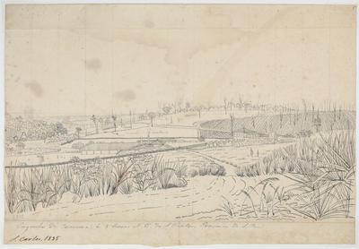 Engenho da Caxoeira, à 5 lieues N. O. de S. Carlos, Province de S. Paul