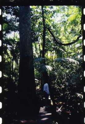 Projeto "Navegar Amazônia"