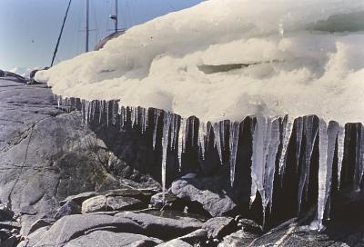 Aventuras de Igor na Antártida