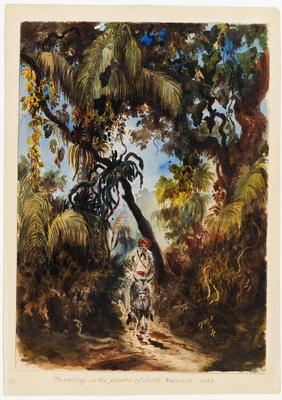 [Viajante passando por uma floresta]