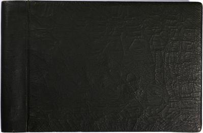 Álbum Exposição Internacional do Centenário da Independência