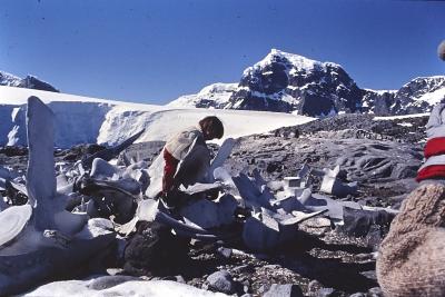 Igor Belli andando pelo cemitério de baleias