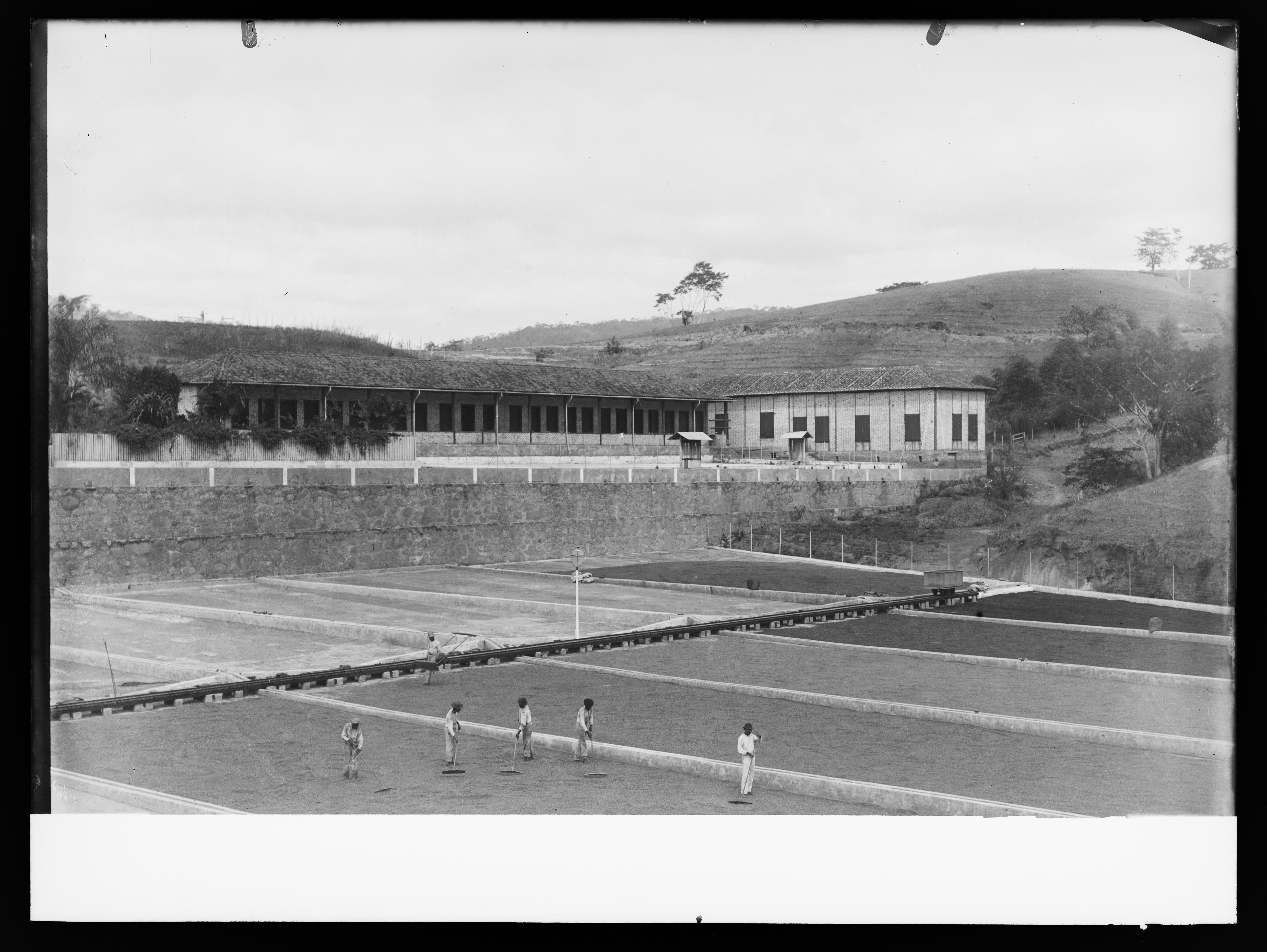 Fazenda Cachoeira Grande  - terreiro de secagem de café
