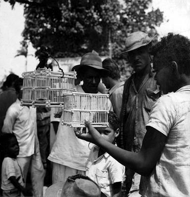 Feira dos Passarinhos