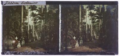 Aleia Barbosa Rodrigues