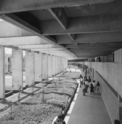 Universidade de Brasília