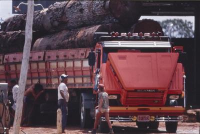 Caminhão carrega madeira